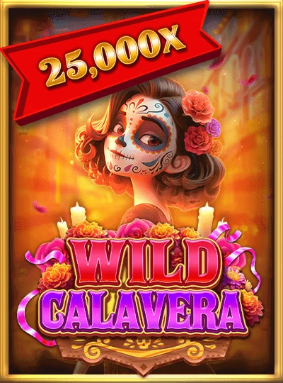 80slot